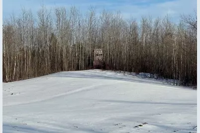 80 Acres Galbrith Road, Mio, MI 48647 - Photo 2