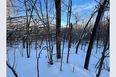 80 Acres Galbrith Road, Mio, MI 48647 - Photo 46