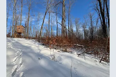 80 Acres Galbrith Road, Mio, MI 48647 - Photo 66