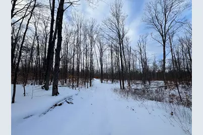 80 Acres Galbrith Road, Mio, MI 48647 - Photo 76