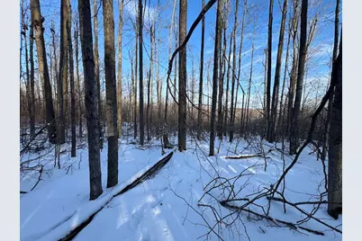 80 Acres Galbrith Road, Mio, MI 48647 - Photo 52