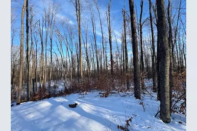 80 Acres Galbrith Road, Mio, MI 48647 - Photo 62