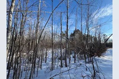 80 Acres Galbrith Road, Mio, MI 48647 - Photo 28