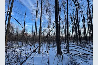 80 Acres Galbrith Road, Mio, MI 48647 - Photo 60