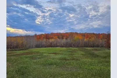 80 Acres Galbrith Road, Mio, MI 48647 - Photo 16