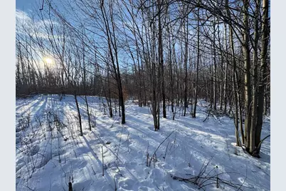 80 Acres Galbrith Road, Mio, MI 48647 - Photo 12