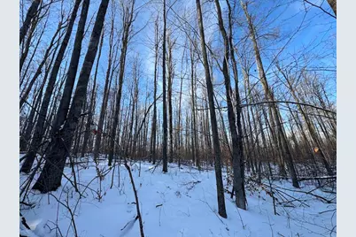 80 Acres Galbrith Road, Mio, MI 48647 - Photo 50