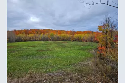 80 Acres Galbrith Road, Mio, MI 48647 - Photo 14