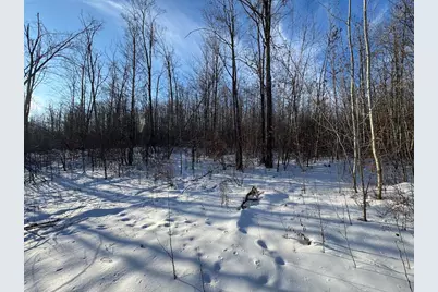 80 Acres Galbrith Road, Mio, MI 48647 - Photo 40