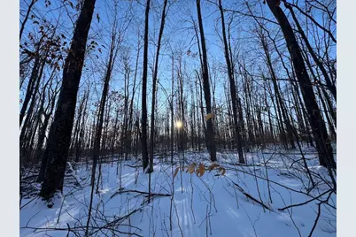 80 Acres Galbrith Road, Mio, MI 48647 - Photo 58