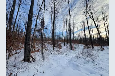 80 Acres Galbrith Road, Mio, MI 48647 - Photo 72
