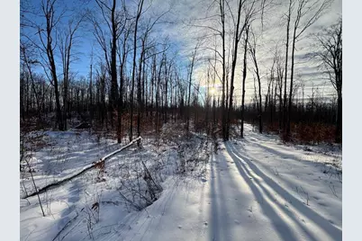 80 Acres Galbrith Road, Mio, MI 48647 - Photo 68