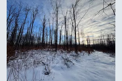 80 Acres Galbrith Road, Mio, MI 48647 - Photo 70