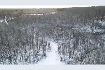 80 Acres Galbrith Road, Mio, MI 48647 - Photo 20