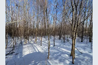 80 Acres Galbrith Road, Mio, MI 48647 - Photo 38