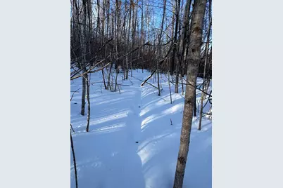 80 Acres Galbrith Road, Mio, MI 48647 - Photo 44