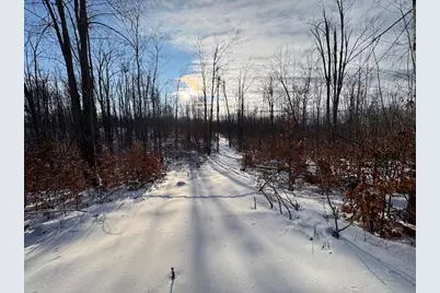 80 Acres Galbrith Road, Mio, MI 48647 - Photo 64