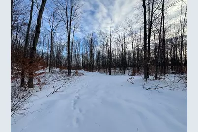 80 Acres Galbrith Road, Mio, MI 48647 - Photo 74