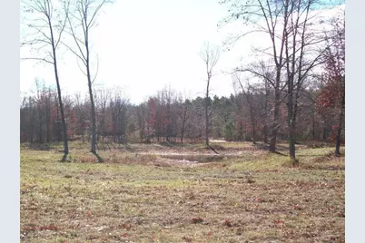 17 W Wilke Road, Rothbury, MI 49452 - Photo 4