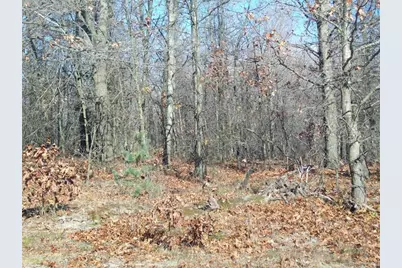 17 W Wilke Road, Rothbury, MI 49452 - Photo 22