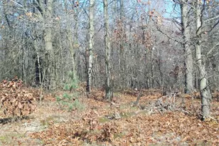 17 W Wilke Rd, Rothbury, MI 49452 - Photo 22