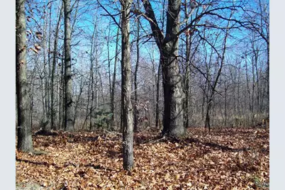 17 W Wilke Road, Rothbury, MI 49452 - Photo 14