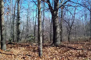 17 W Wilke Rd, Rothbury, MI 49452 - Photo 14