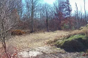 17 W Wilke Rd, Rothbury, MI 49452 - Photo 20