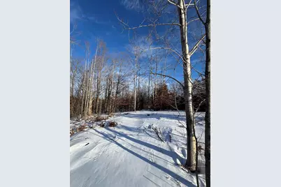 72 Acres W Miller Road, Mio, MI 48647 - Photo 50