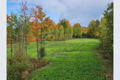 72 Acres W Miller Road, Mio, MI 48647 - Photo 4