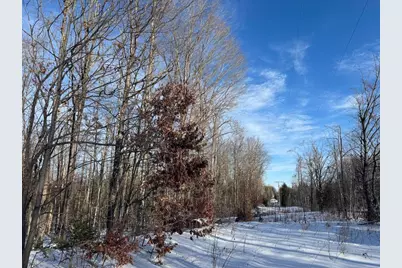 72 Acres W Miller Road, Mio, MI 48647 - Photo 30