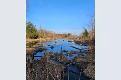 72 Acres W Miller Road, Mio, MI 48647 - Photo 10