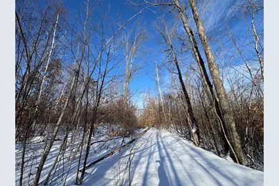 72 Acres W Miller Road, Mio, MI 48647 - Photo 46