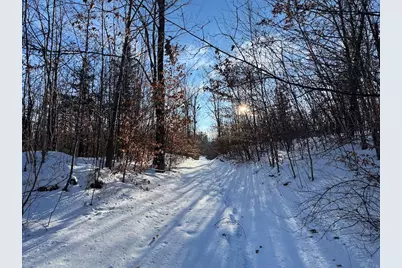 72 Acres W Miller Road, Mio, MI 48647 - Photo 58