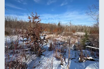 72 Acres W Miller Road, Mio, MI 48647 - Photo 54