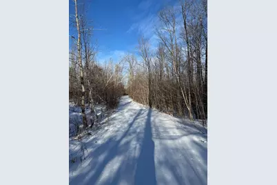 72 Acres W Miller Road, Mio, MI 48647 - Photo 40