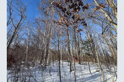 72 Acres W Miller Road, Mio, MI 48647 - Photo 2