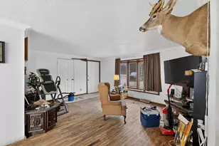 10484 S Graham Rd, Saint Charles, MI 48655 - Photo 10