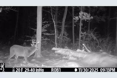 12409 Bellevue Road, Battle Creek, MI 49014 - Photo 38