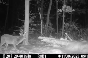 12409 Bellevue Rd, Battle Creek, MI 49014 - Photo 38