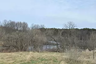 12409 Bellevue Rd, Battle Creek, MI 49014 - Photo 28
