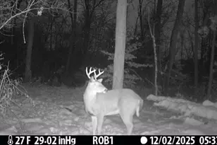 12409 Bellevue Rd, Battle Creek, MI 49014 - Photo 38