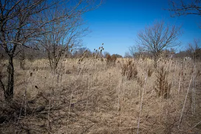 300 Woodstock Street #3.32 Acres, Cement City, MI 49233 - Photo 16