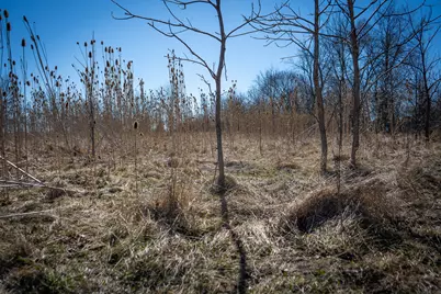 300 Woodstock Street #3.32 Acres, Cement City, MI 49233 - Photo 50