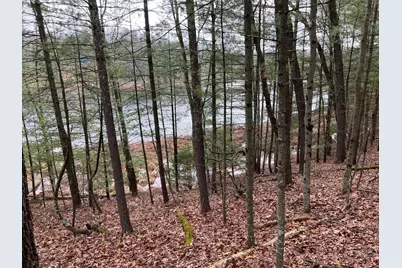 00 Perch Lake Drive, Bitely, MI 49309 - Photo 10