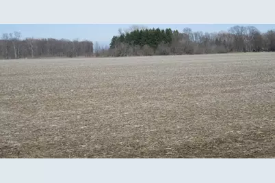 V/L W Lemon Creek Road #4, Baroda, MI 49101 - Photo 2