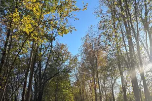 1603 Friendly Ave, Portage, MI 49002 - Photo 26