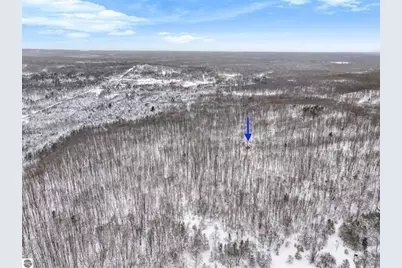 00 W Falmouth Road, Cadillac, MI 49601 - Photo 8