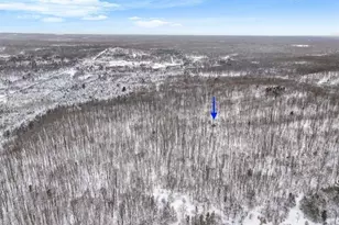 00 W Falmouth Rd, Cadillac, MI 49601 - Photo 8