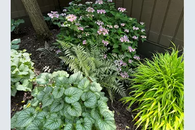 19 Westbury Court, Ann Arbor, MI 48105 - Photo 86